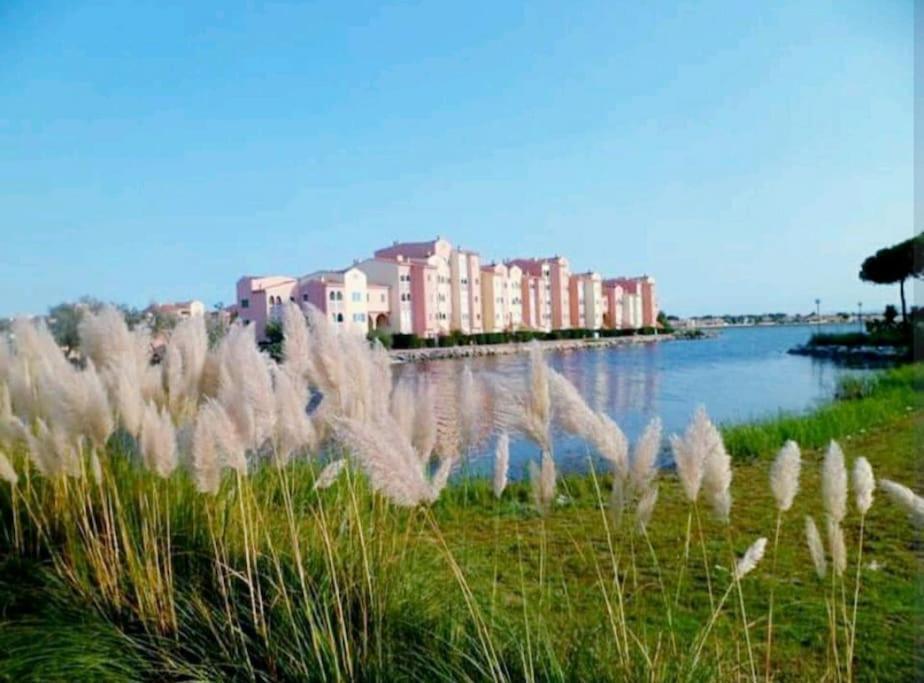 Residence Pointe Vermeille - Charmant Studio Cabine Avec Jolie Vue Sur Le Lac Marin Ле Баркарес Экстерьер фото